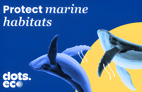 Dots.eco - Protect 10 sqm of Marine Habitat